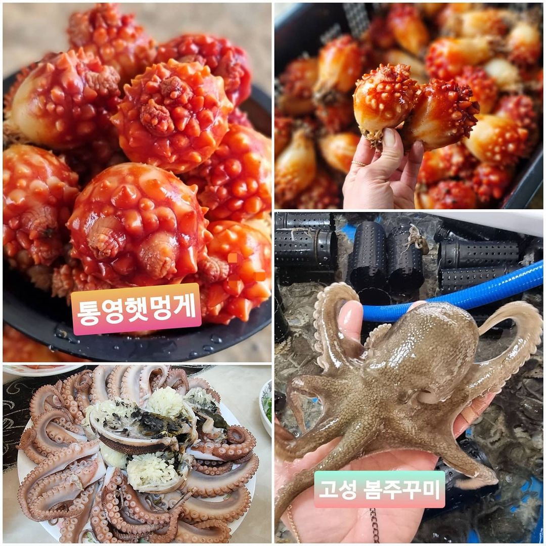 마라도수산 이미지