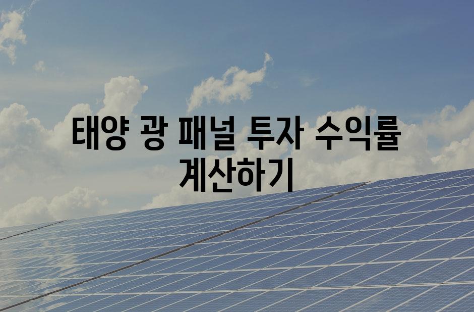 태양 광 패널 투자 수익률 계산하기