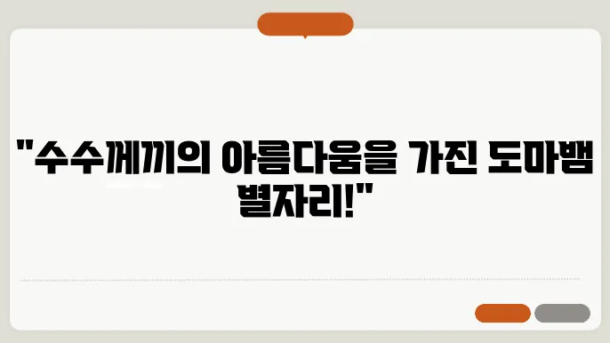 도마뱀자리 하늘을 누비는 도마뱀