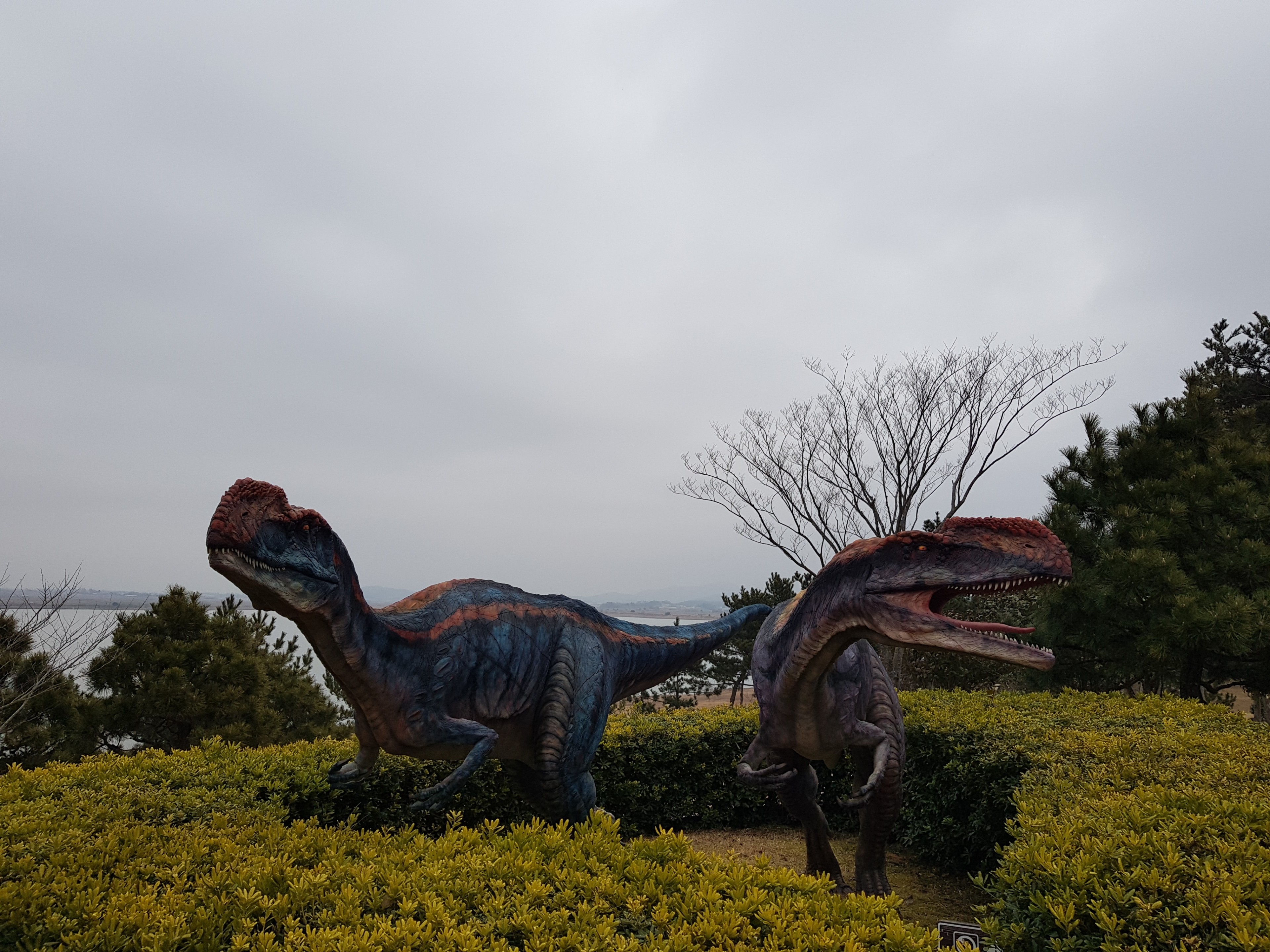 해남반찬 이미지