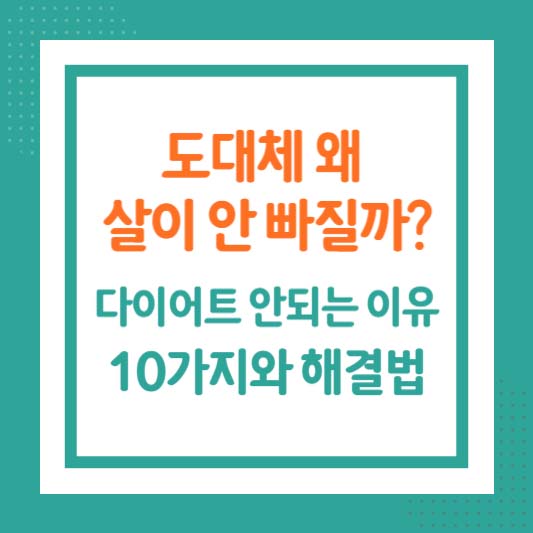 도대체 왜 살이 안 빠질까? 다이어트 안 되는 이유 10가지와 해결법