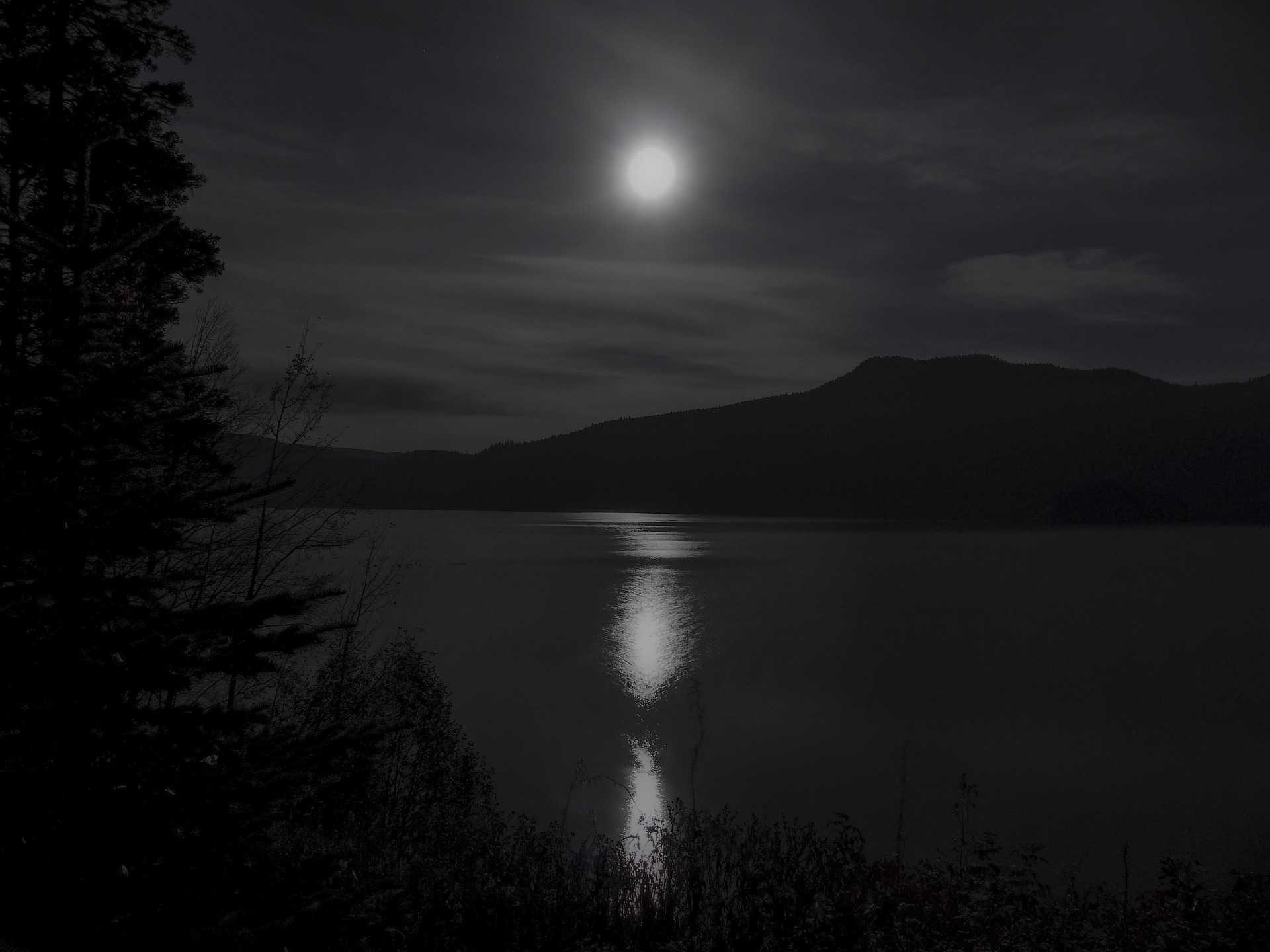 밤중에 달빛이 물 위에 비치는 사진입니다.