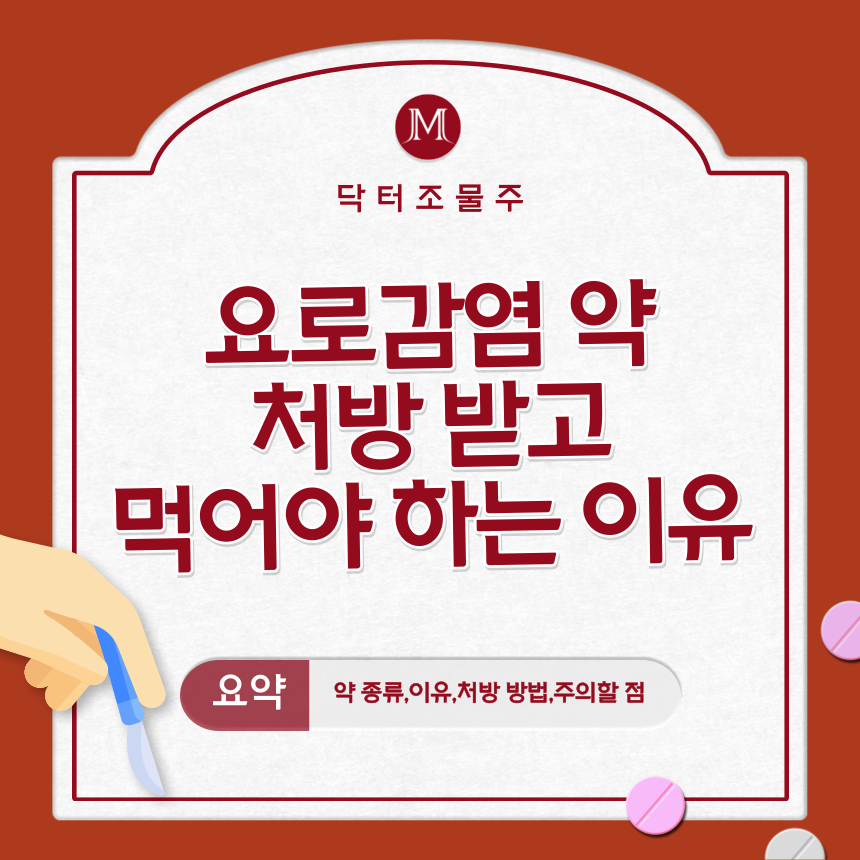 요로감염 약