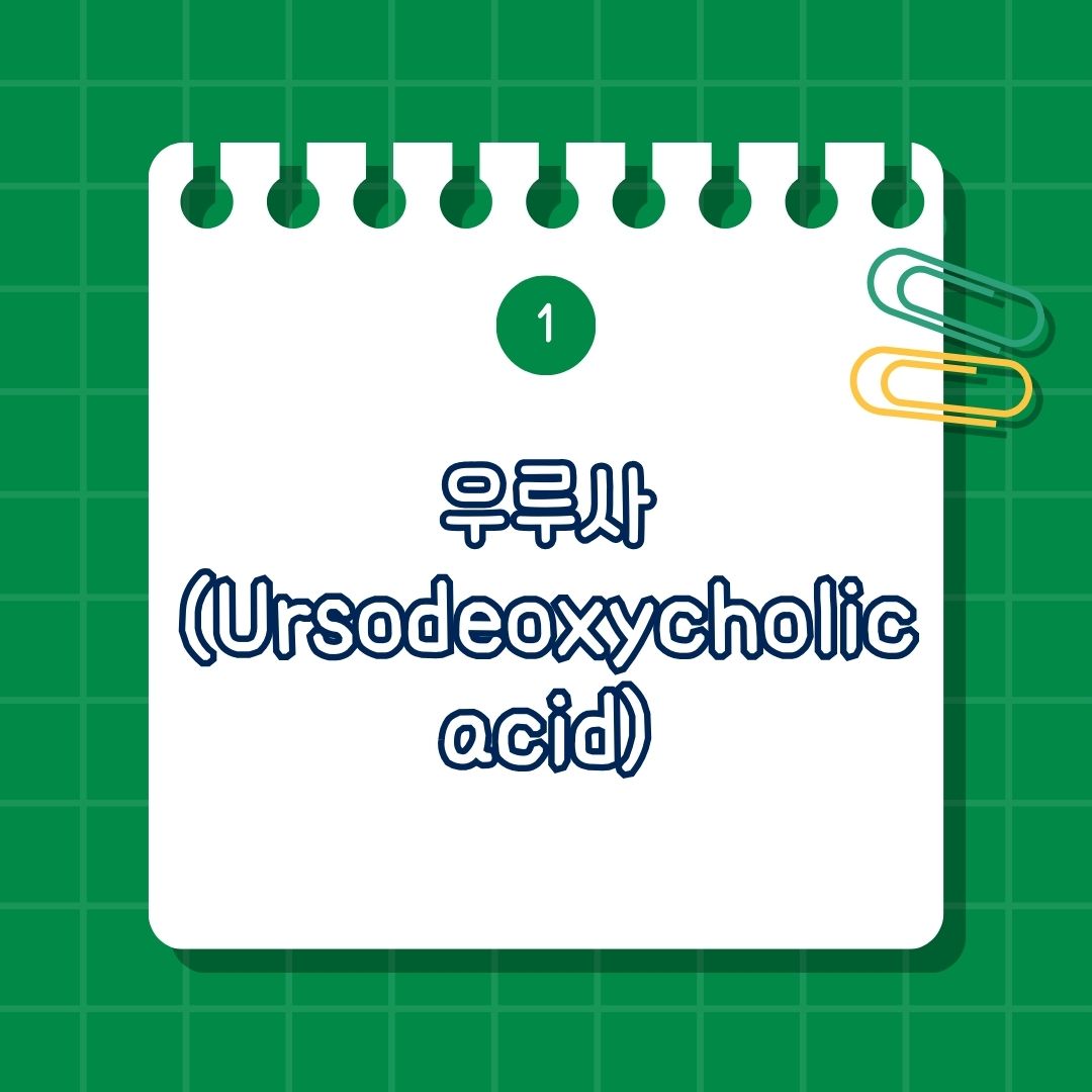 우루사(Ursodeoxycholic acid) 성분 및 작용 원리, 주요 효능, 부작용, 주의 사항