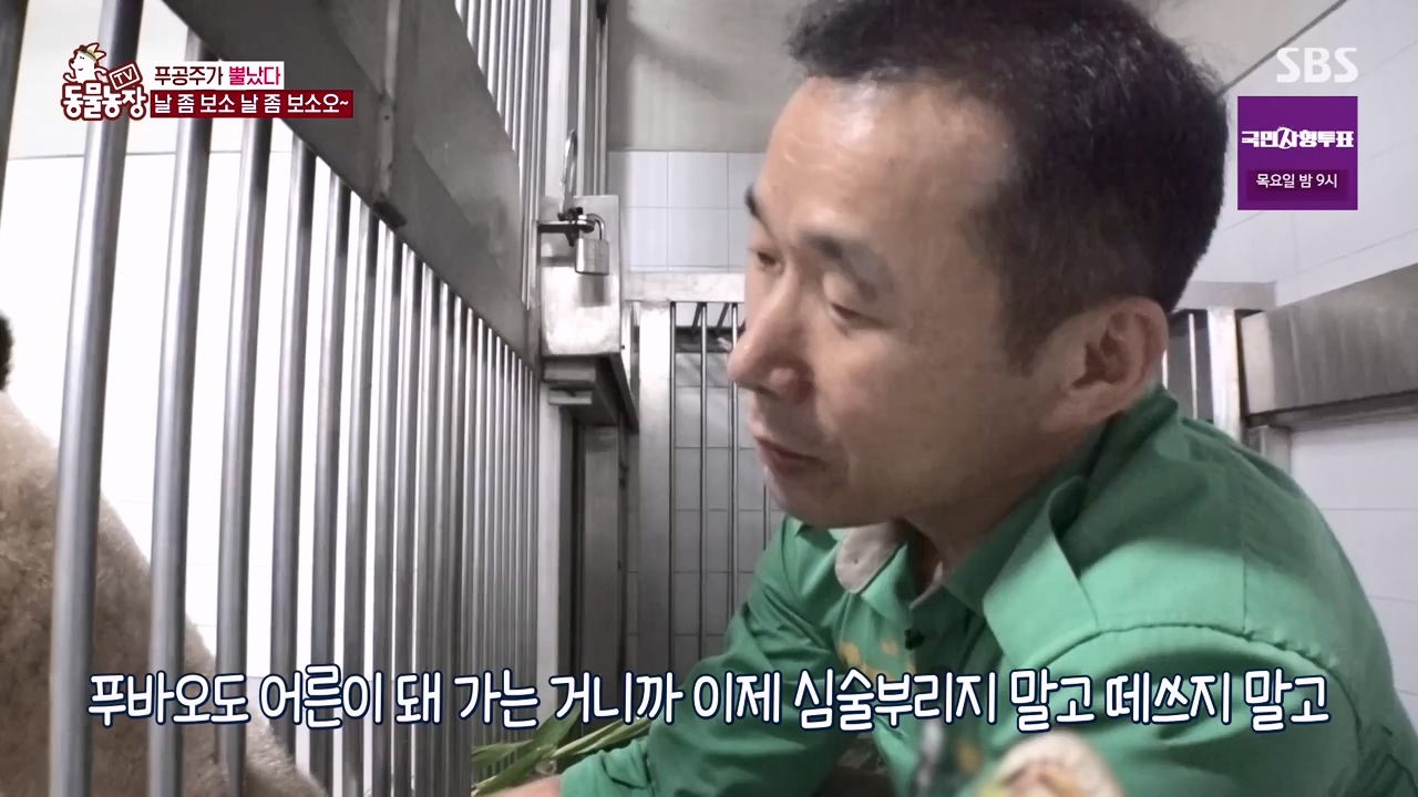 TV 동물농장.E1133.230814p-NEXT.mp4_20230813_171343.607.jpg