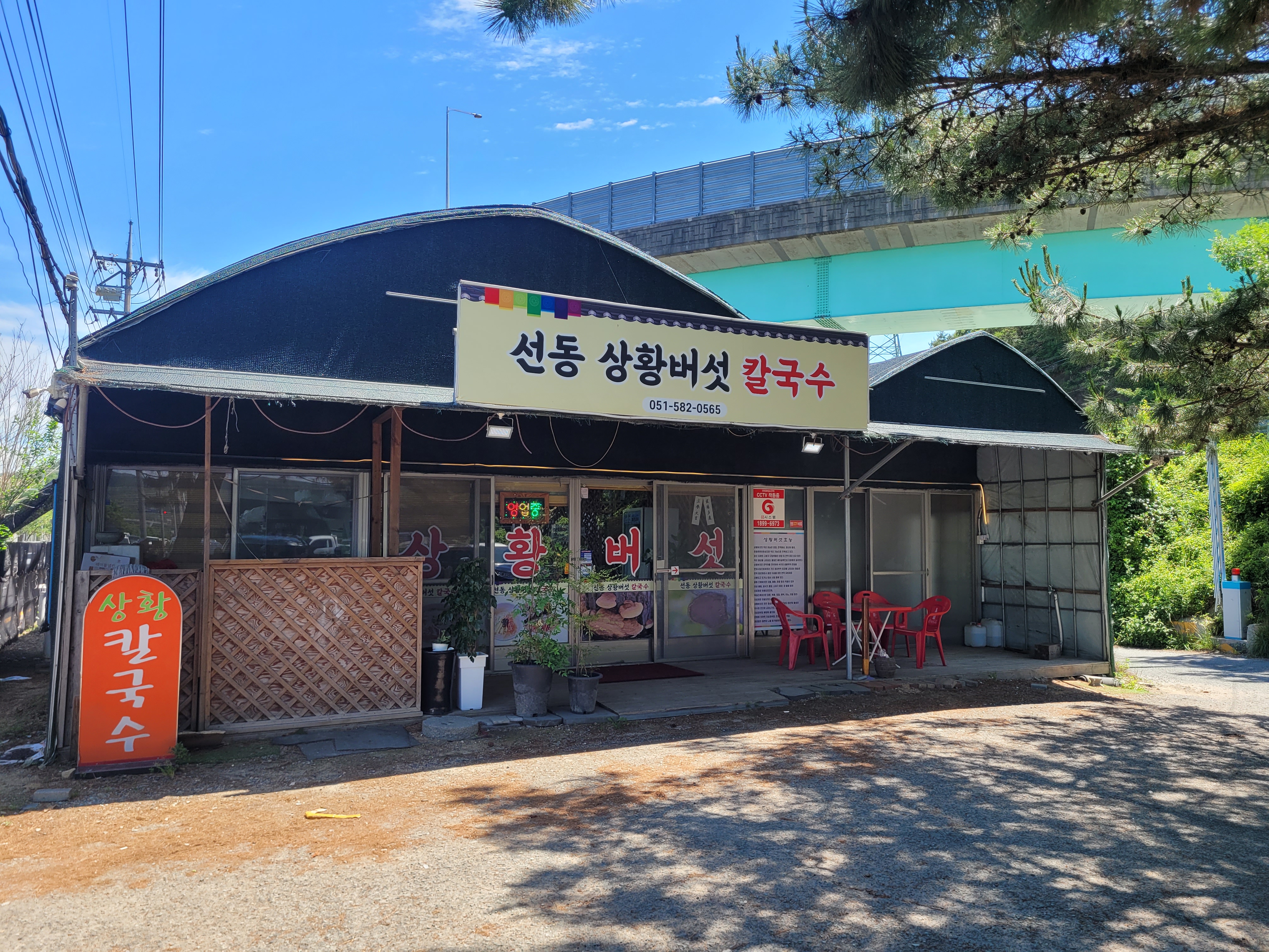 상황버섯고향칼국수 사진 3