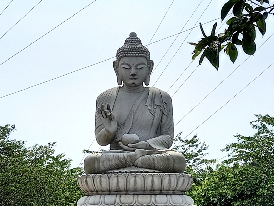 img.jpg