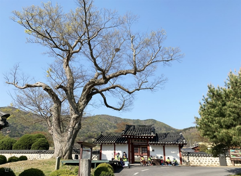 형제비석 이미지