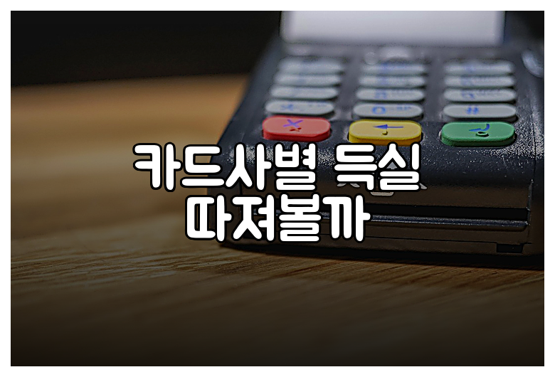 카드사별 득실 따져볼까