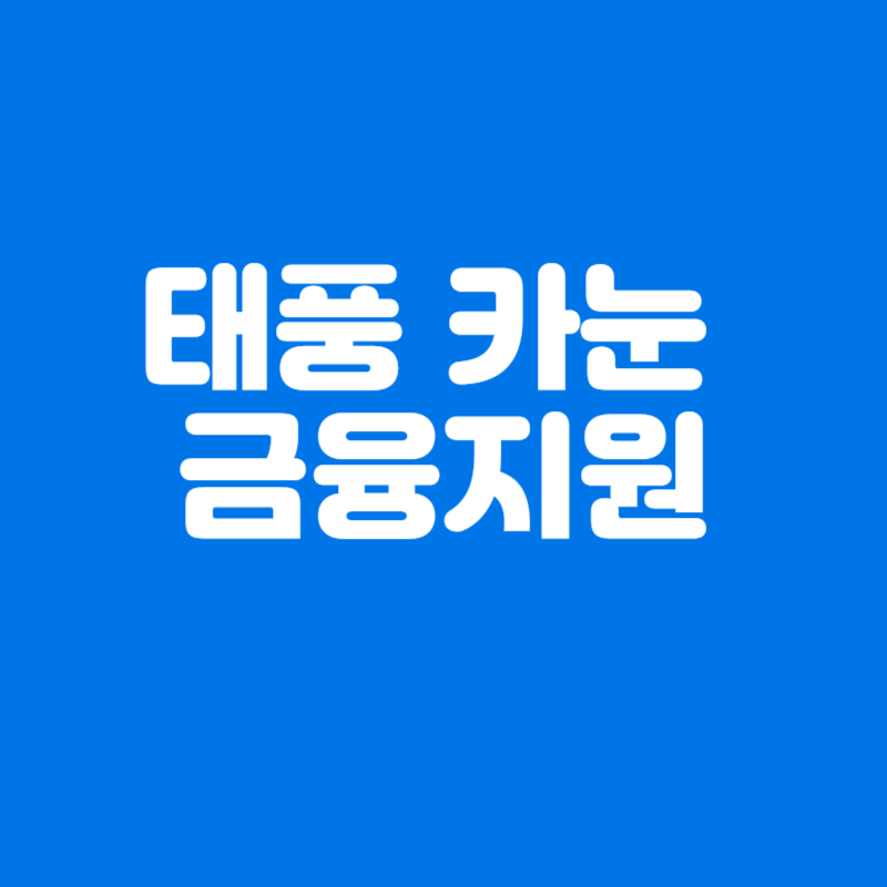 태풍 카눈 금융지원