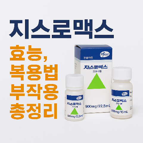 지스로맥스 효능, 복용법, 부작용 총정리