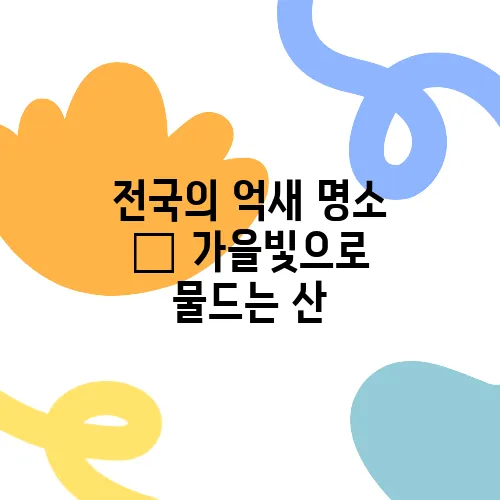 가을빛 이미지