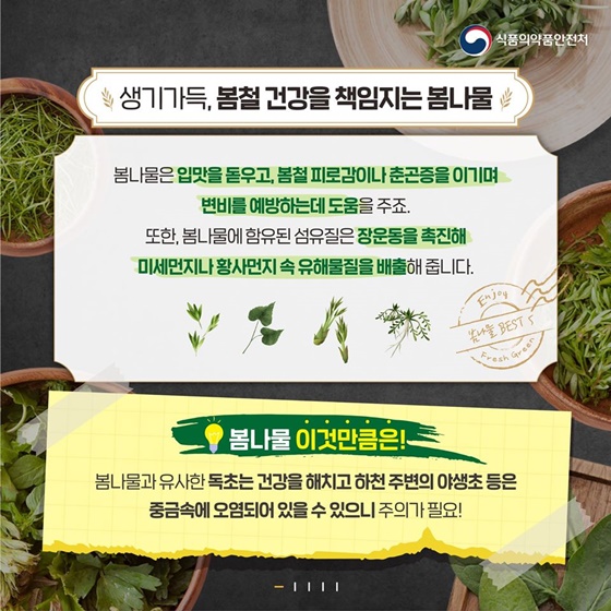봄철나물 효과