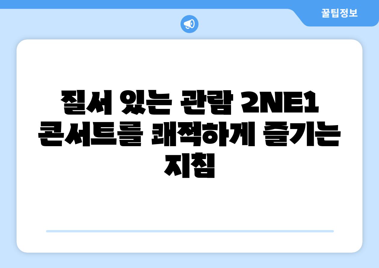 질서 있는 관람 2NE1 콘서트를 쾌적하게 즐기는 방법