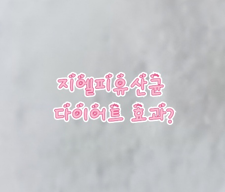 glp유산균-지엘피유산균-일론머스크다이어트