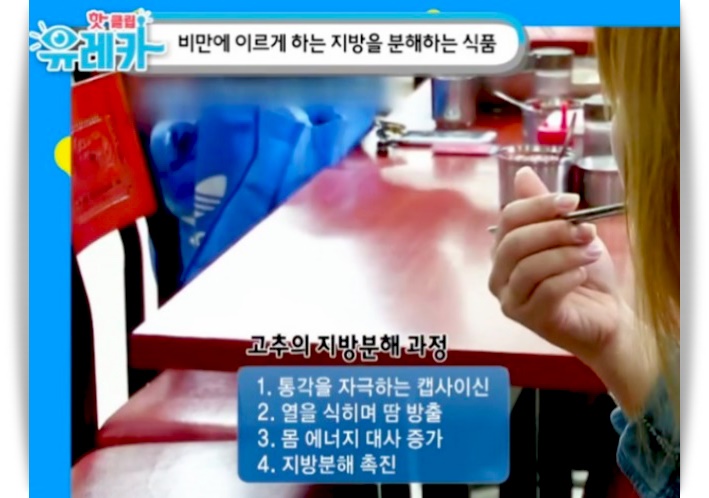  지방 분해 음식 다이어트 입니다.