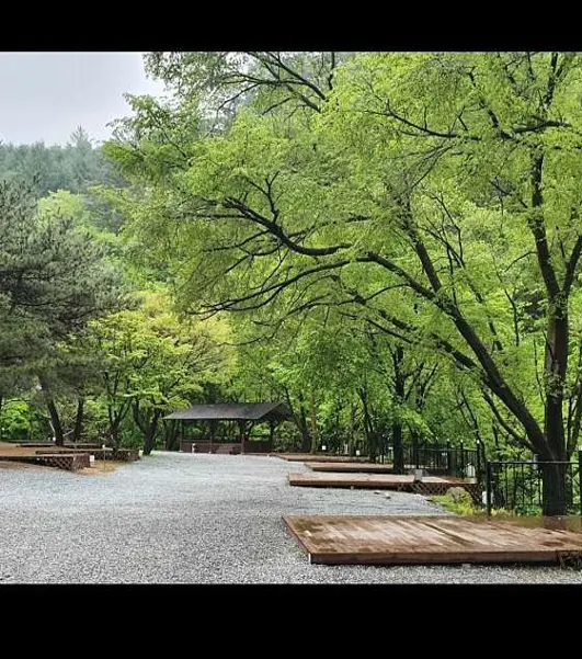 검산별빛캠핑장