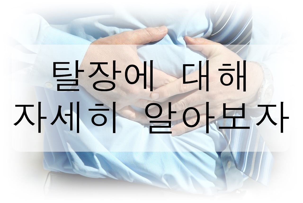  탈장에 대해 자세히 알아보자! (원인, 종류, 증상, 치료방법)