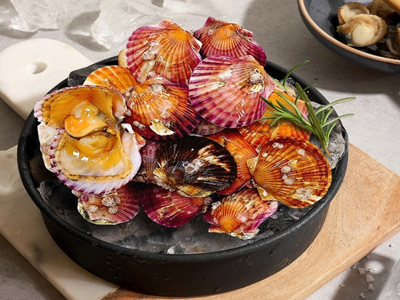 가리비 효능 10가지 19