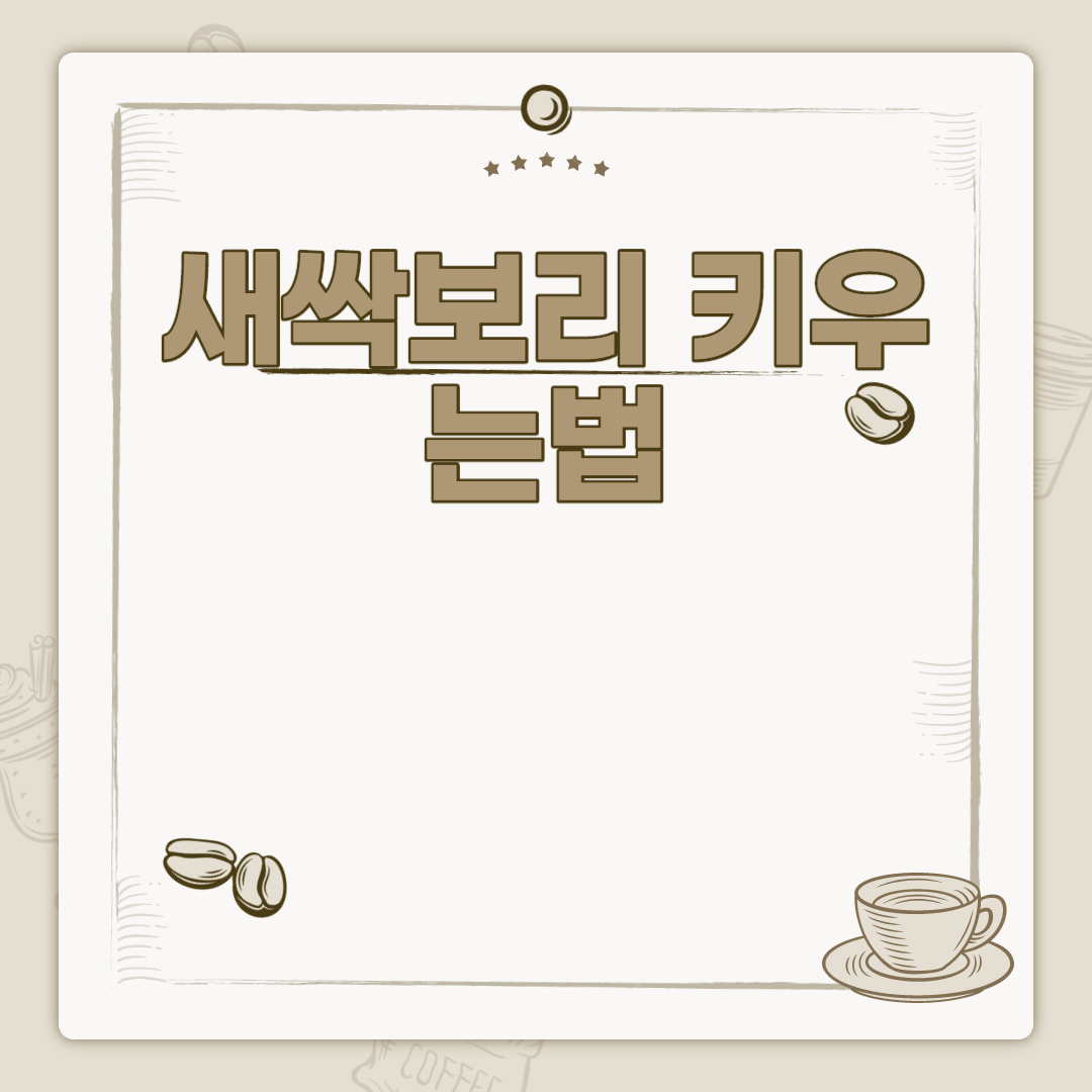  새싹보리 키우는법