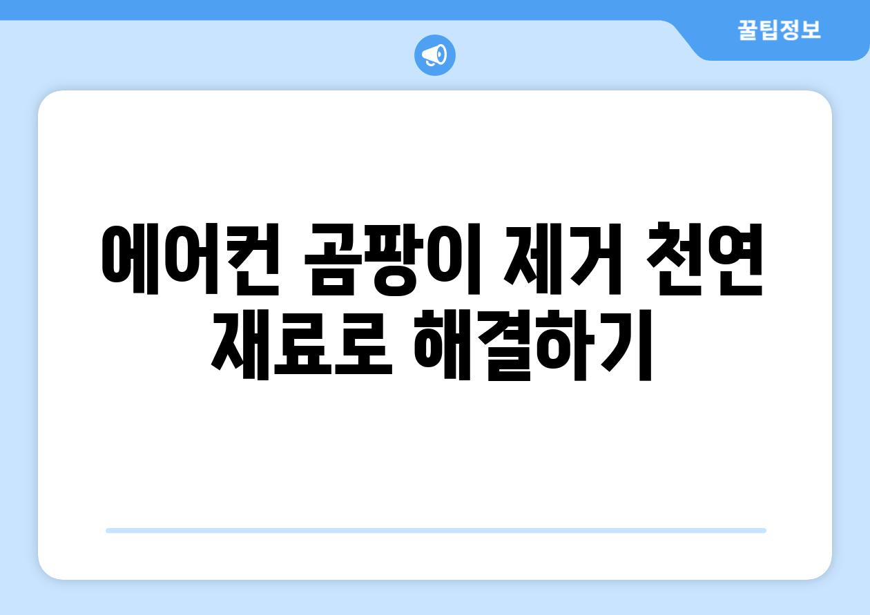 에어컨 곰팡이 제거 천연 재료로 해결하기