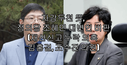  자강두천 뜻, 정의당 조혜민 대변인 비판(재산신고 누락 의혹 김홍걸, 조수진 의원)