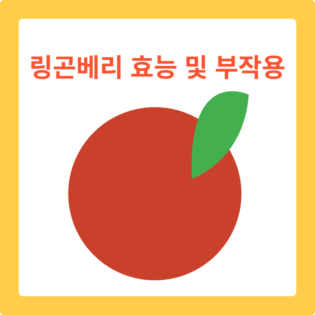  링곤베리 퓨레의 놀라운 효능과 건강 비결