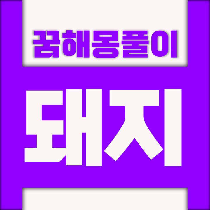  [꿈해몽풀이] 돼지 꿈해몽 모음