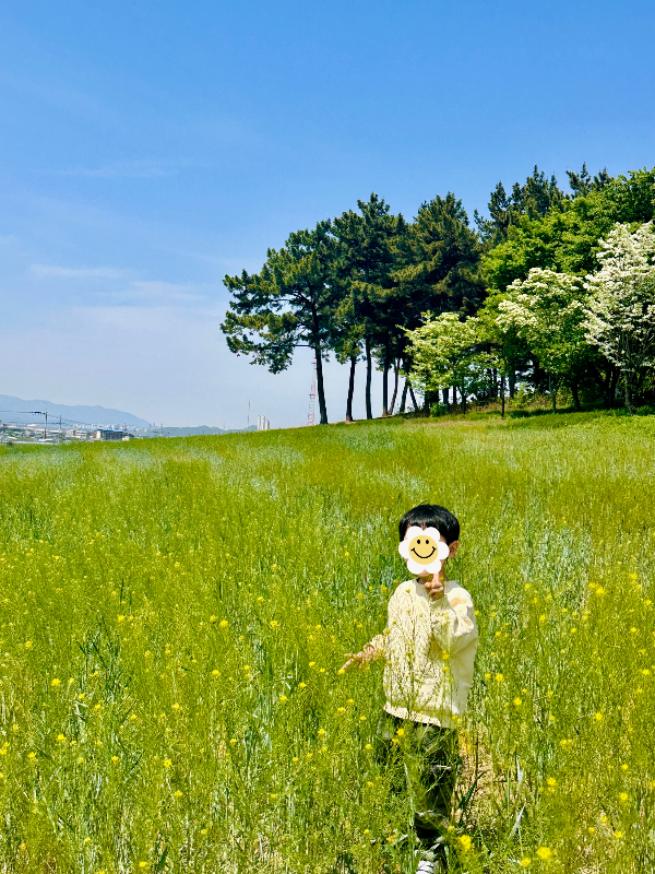대구대학교 꽃사진