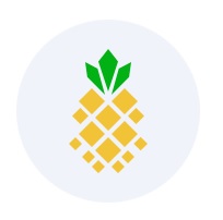미국 동전주 SUNE (SUNation Energy) 주가 폭락의 원인과 투자 전략 미국 동전주 SUNE (SUNation Energy) 주가 폭락의 원인과 투자 전략