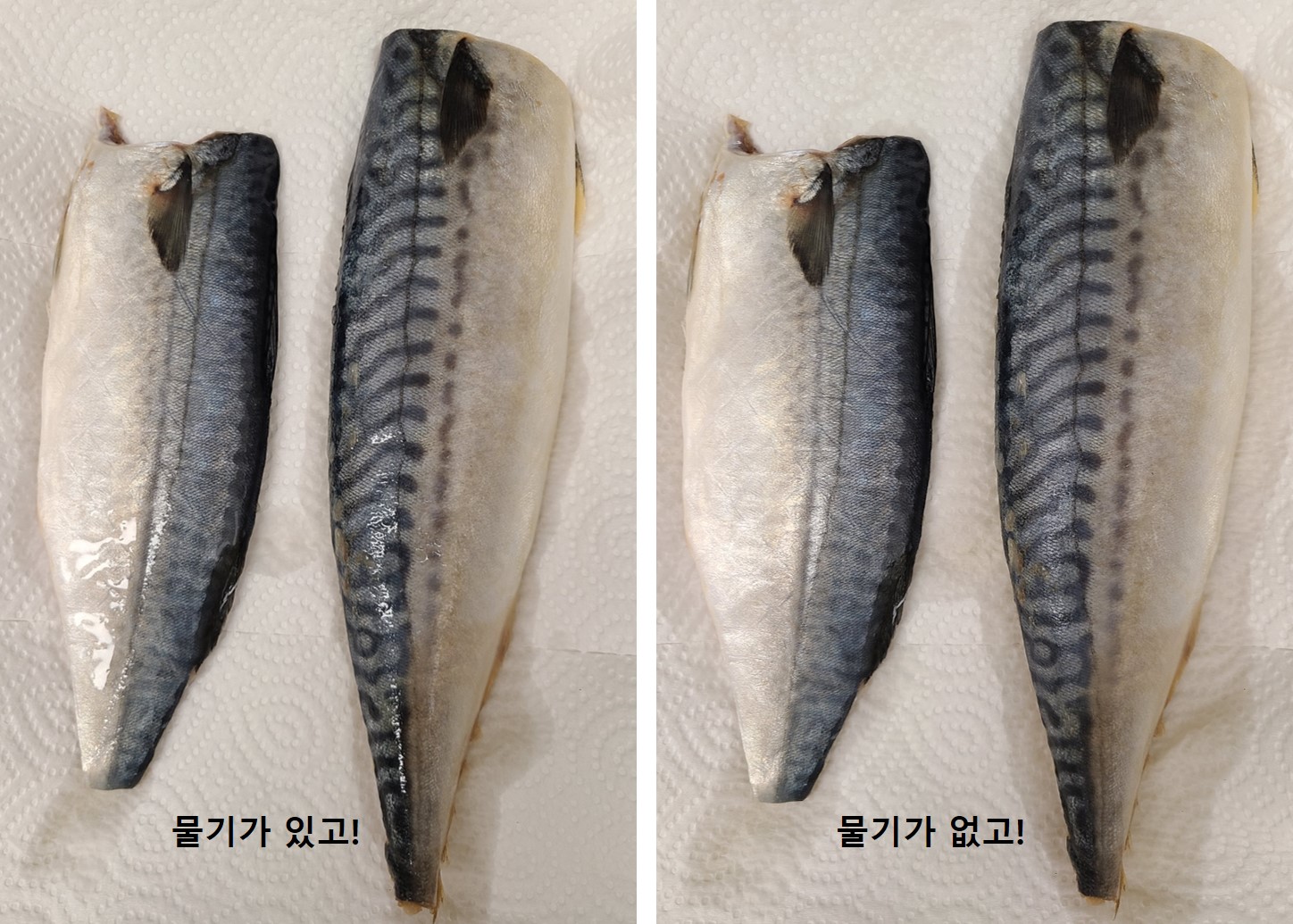 생선 굽기 전 물기 없애기