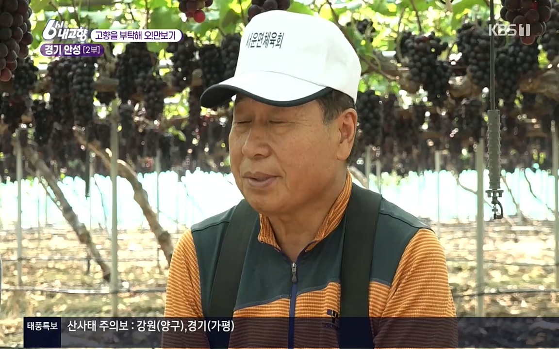 6시 내고향.E7611.220907p.H264-F1RST.mp4_20220908_204252.215.jpg