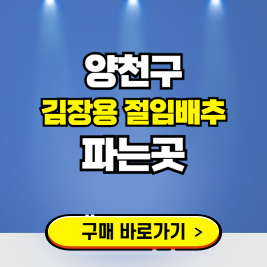 양천구 절임배추 사전예약 구입하는곳 ❘ 김장배추 파는곳 가격보기