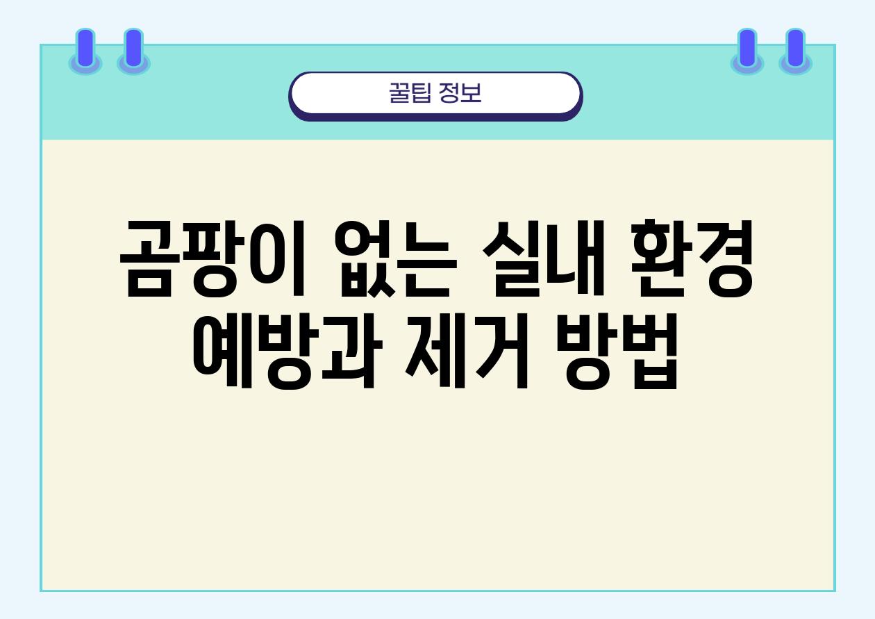 곰팡이 없는 실내 환경 예방과 제거 방법