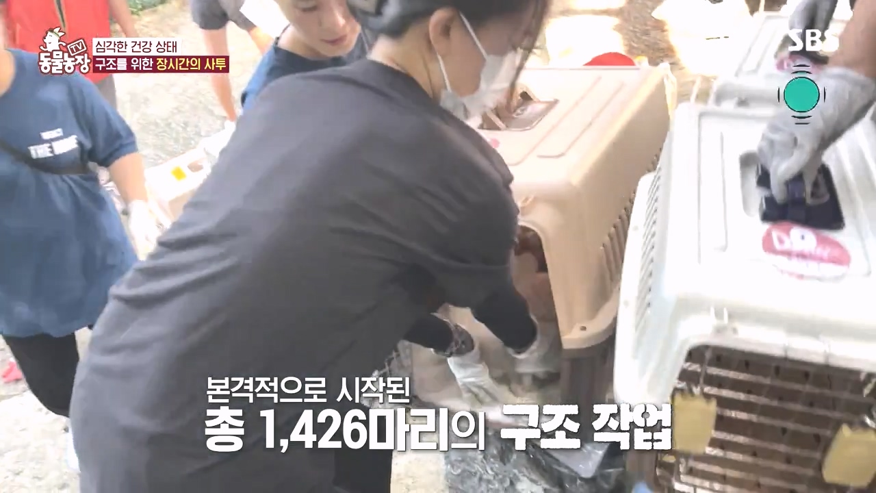 TV 동물농장.E1142.231023p-NEXT.mp4_20231022_172728.705.jpg