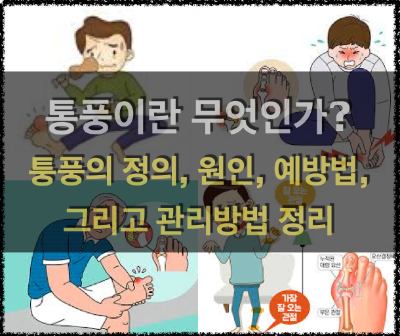  통풍(痛風)의 정의, 원인, 예방 그리고 관리방법 정리