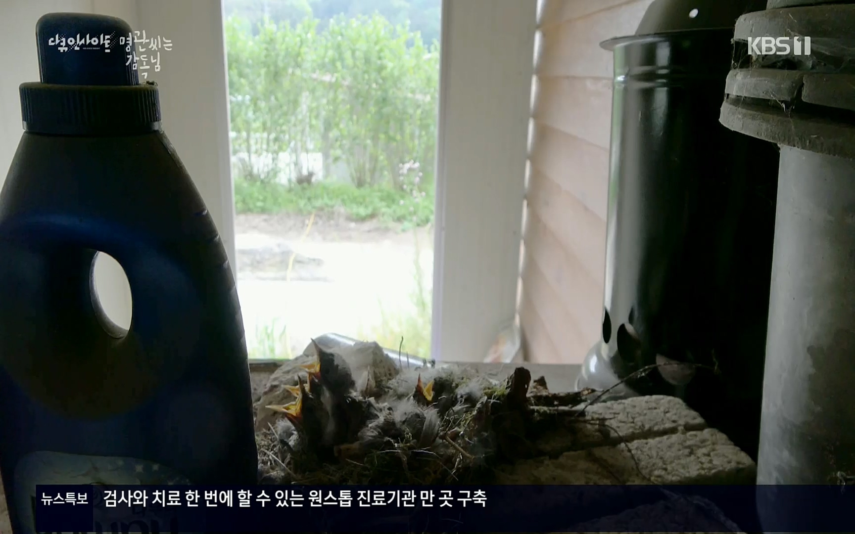 다큐 인사이트.E122.220825p.H264-F1RST.mp4_20220826_152308.744.jpg