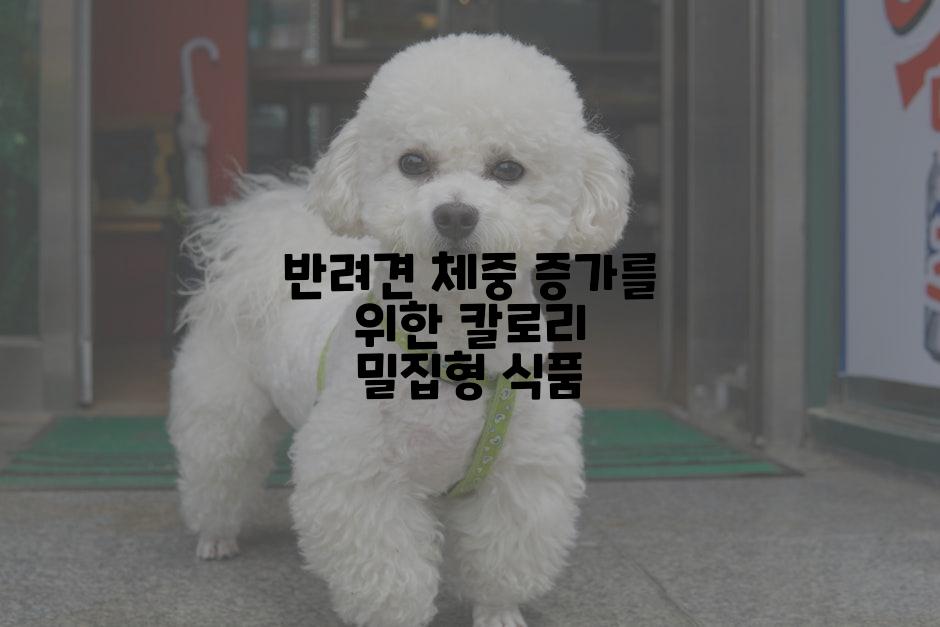 반려견 체중 증가를 위한 칼로리 밀집형 식품