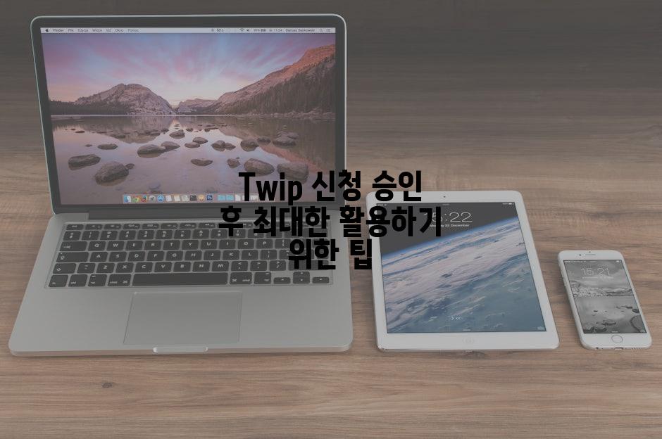 Twip 신청 승인 후 최대한 활용하기 위한 팁