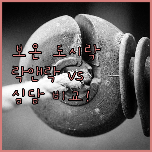 보온 도시락통 고민 끝 락앤락 vs 