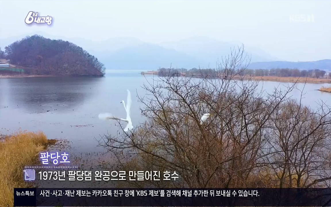 6시 내고향.E7503.220405p.H264-F1RST.mp4_20220405_182905.634.jpg