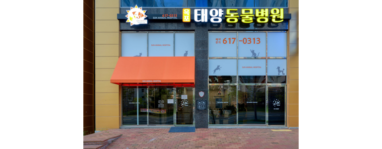 고령군 근처 동물병원 추천 정보 | 24시간 잘하는곳 고양이 강아지 중성화 수술 애견 가격 비용 금액 후기 -
옥포태양동물병원
고령군 동물병원
