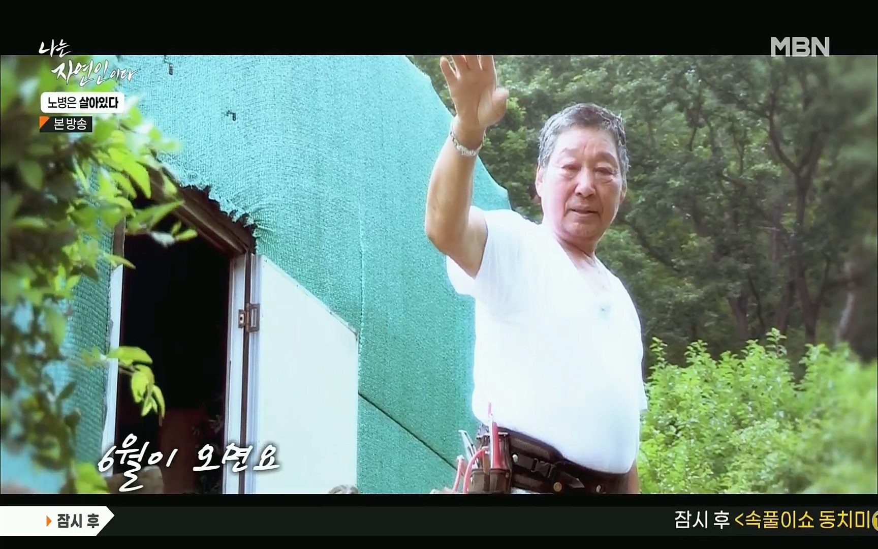 나는 자연인이다.E512.220727p.H264-F1RST.mp4_20220728_200725.800.jpg