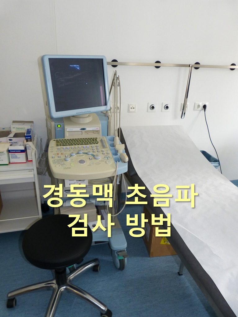  동맥경화증을 진단하는 경동맥 초음파 검사 방법