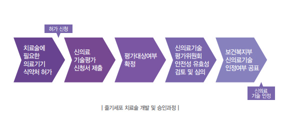 줄기세포치료술허가과정