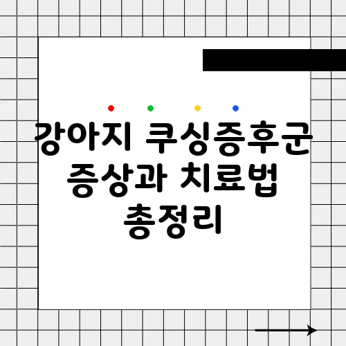 강아지 쿠싱증후군 증상과 치료법 총정리