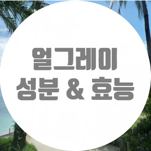  얼그레이 효능 포인트만