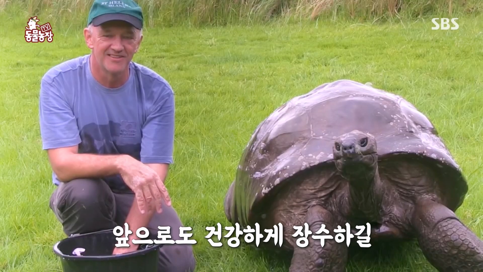 TV 동물농장.E1118.230423p.H264-F1RST.mp4_20230423_181105.059.jpg