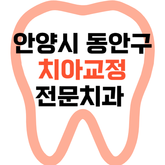 안양시 동안구 치아교정 치과 잘하는 곳 전문 치과 추천 가격 비용.png