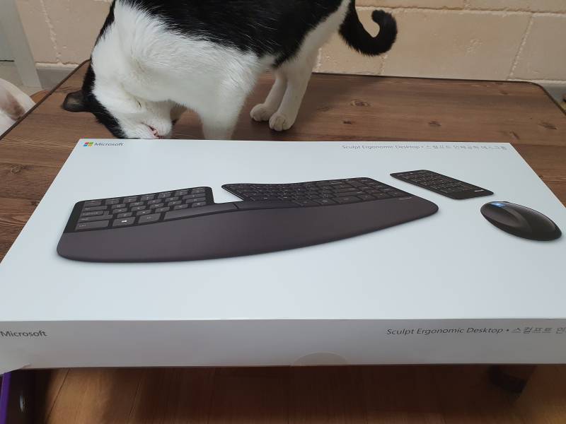 인체공학 마우스 사용후기